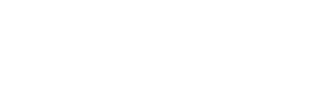 Carolina De Vasconcelos Logo